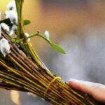 Вербна неділя: історія, значення та головні традиції великого свята