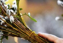 Вербна неділя: історія, значення та головні традиції великого свята