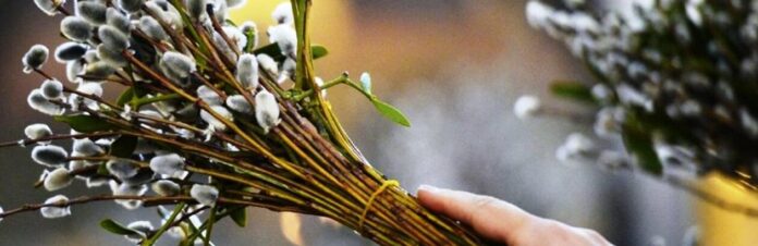 2616579_69d16a5324d7d