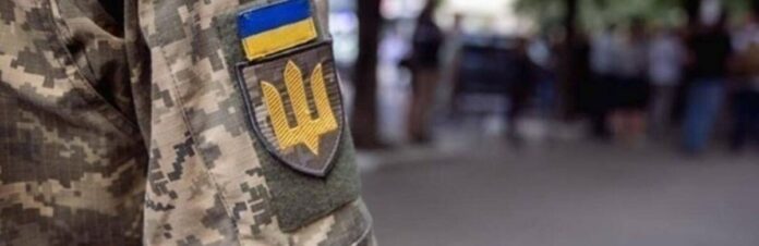 4396204_69d166236cd4f