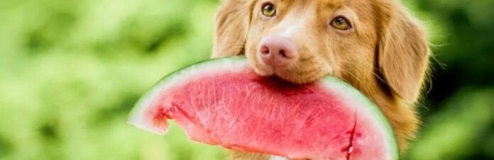 605077154cc38e2aea404a21bdc1c77e-min_69dbfe27293d1