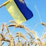 Ми вимираємо зі швидкістю 300 тисяч людей на рік: демографи озвучили шокуючі цифри