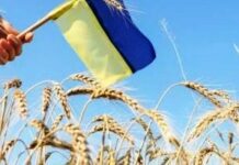 Ми вимираємо зі швидкістю 300 тисяч людей на рік: демографи озвучили шокуючі цифри