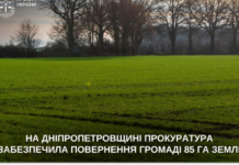 Прокуратура повернула громаді понад 85 гектарів землі на Дніпропетровщині