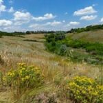 Прокуратура зобов’язала встановити межі заповідного урочища «Балка Крутенька» на Дніпропетровщині