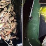 На Дніпропетровщині виявили двох рибалок-браконьєрів