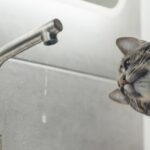 Масштабне відключення води у Дніпрі з 22 по 23 квітня: адреси