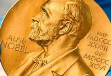 Премія для кожного з нас: Зеленського та народ України номінували на Нобелівську премію миру