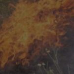 За минулу добу на території Запорізької області рятувальники ліквідували п’ять пожеж в екосистемах