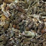 Понад 1 млн грн збитків: на Інгульці у Криворізькому районі викрили чоловіка, який ловив раків