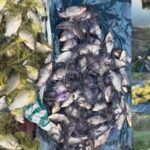 Майже 90 карасів на понад 140 тис грн: у Самарівському районі затримали чергових рибалок-порушників