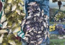 Майже 90 карасів на понад 140 тис грн: у Самарівському районі затримали чергових рибалок-порушників