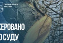 Незаконна порубка дерев зі збитками довкіллю на понад 2 млн грн: судитимуть жителів Запорізького району