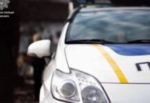 У Кривому Розі виявили водія з підробленими документами