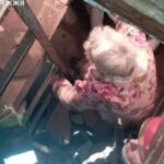 У Запоріжжі жінка впала у підвал та не могла вибратися самостійно
