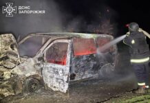 У Запорізькому районі вночі зайнявся автомобіль із дровами усередині