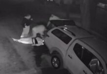 На Дніпропетровщині військові «Вовків Да Вінчі» викрали та побили 20-річного чоловіка: підозру оголошено трьом фігурантам