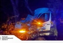 На трасі Дніпро-Миколаїв мікроавтобус з пасажирами влетів в дерево: є постраждалі