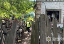 Зґвалтував та жорстоко вбив 11-річного хлопчика: правоохоронці Дніпра затримали зловмисника