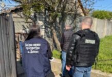 Майже 3 млн грн збитків через незаконну вирубку дерев: на Дніпропетровщині повідомлено про підозру «чорним лісорубам»