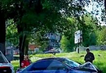 У Кам’янському водій напідпитку врізався в дерево