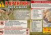 У селищі на Дніпропетровщині ввели карантин через випадок сказу