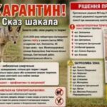 У селищі на Дніпропетровщині ввели карантин через випадок сказу