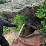 Пішов з дому й не повернувся: у Запоріжжі викрили підозрюваного у вбивстві чоловіка
