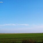 Використовували територію заповідника для сільськогосподарських потреб: на Дніпропетровщині прокуратура через суд повернула громаді 16 га землі