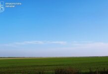 Використовували територію заповідника для сільськогосподарських потреб: на Дніпропетровщині прокуратура через суд повернула громаді 16 га землі