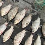 Водний патруль Дніпра виявив рибалку-браконьєра, який порушив нерестову заборону