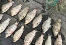 Водний патруль Дніпра виявив рибалку-браконьєра, який порушив нерестову заборону