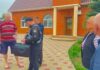 Понад 11 гектарів землі вартістю більше 6,5 млн грн через родичів і підставних осіб: на Запоріжжі викрито масштабну земельну схему голови громади