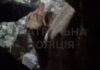 Ворог вкотре вдарив по Запоріжжю: з-під завалів деблокували жінку