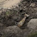 У Кривому Розі рибалки знайшли біля річки вибухонебезпечний предмет