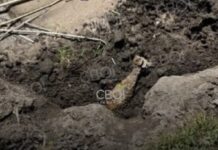 У Кривому Розі рибалки знайшли біля річки вибухонебезпечний предмет