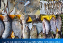 На Дніпропетровщині браконьєр наловив риби на понад 82 тисячі гривень збитків