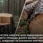 Після позову прокуратури до бюджету Дніпра повернули майже 2 млн грн за незаконну вирубку лісу