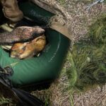 На Дніпропетровщині викрили двох чоловіків, які незаконно ловили рибу під час нересту