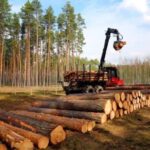 ДП «Ліси України» заплатило майже 800 тисяч гривень за незаконну вирубку дерев на Дніпропетровщині
