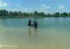 Трагедія на водоймі Кам’янського району: потонув 14-річний підліток