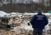 На Дніпропетровщині судитимуть трьох чоловіків за незаконну вирубку лісу на майже 2 млн грн