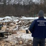 На Дніпропетровщині судитимуть трьох чоловіків за незаконну вирубку лісу на майже 2 млн грн