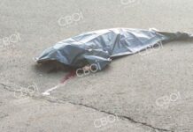 У Кривому Розі авто на смерть збило дитину