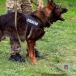 У Самарі молоді поліцейські тренувалися разом із кінологами та службовим собакою