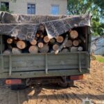 На Дніпропетровщині викрили «чорних лісорубів»: збитки оцінили майже у 700 тисяч гривень