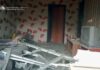 Одна людина загинула, двоє дістали поранень: безпекова ситуація на Дніпропетровщині на ранок 27 червня