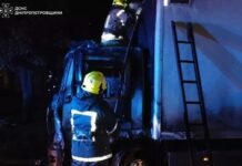 У Кривому Розі посеред ночі спалахнув Mercedes: вогнеборці ліквідували займання