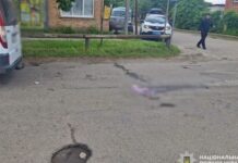 Наїзд на 89-річну жінку у Нікопольському районі: поліцейські скерували обвинувальний акт до суду