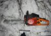 На Дніпропетровщині чоловіка судитимуть за незаконну вирубку дерев у заповіднику